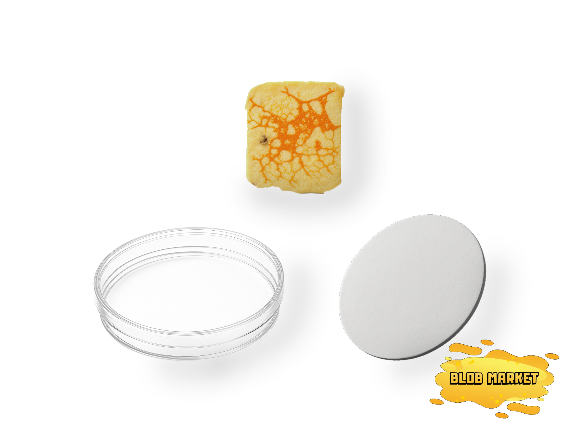 Zestaw XS do hodowli śluzowca