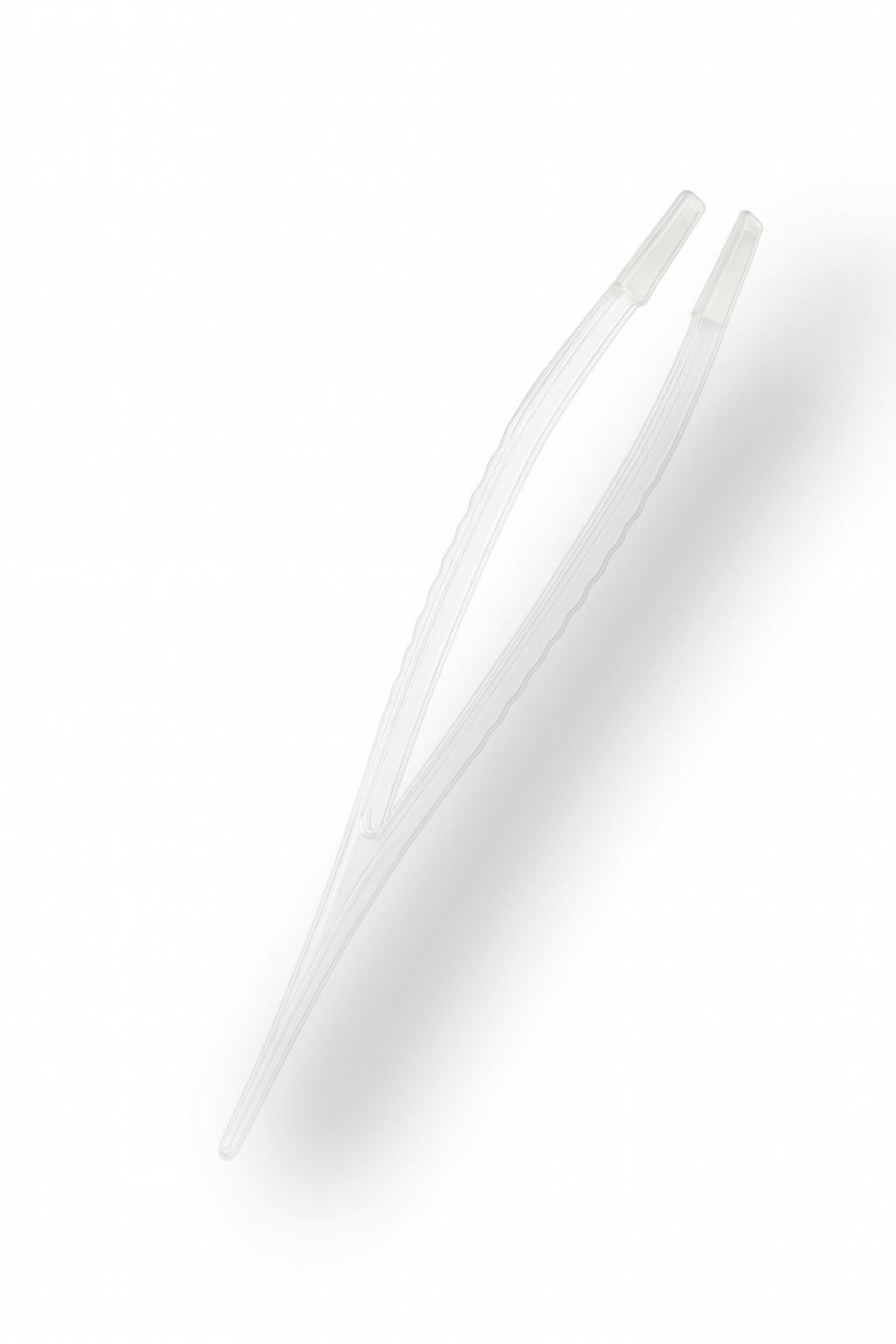 Zestaw L do hodowli śluzowca