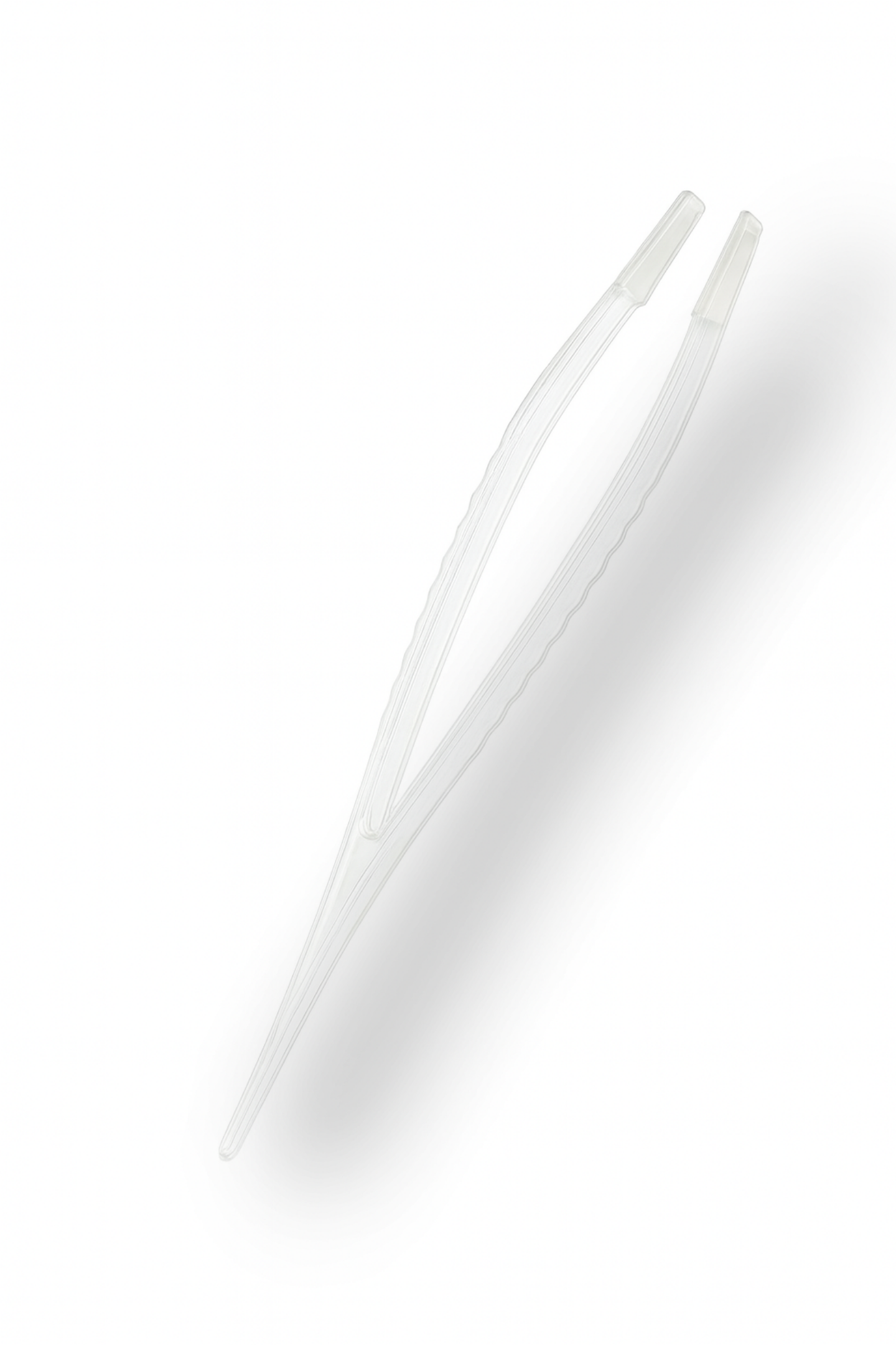 Zestaw M do hodowli śluzowca