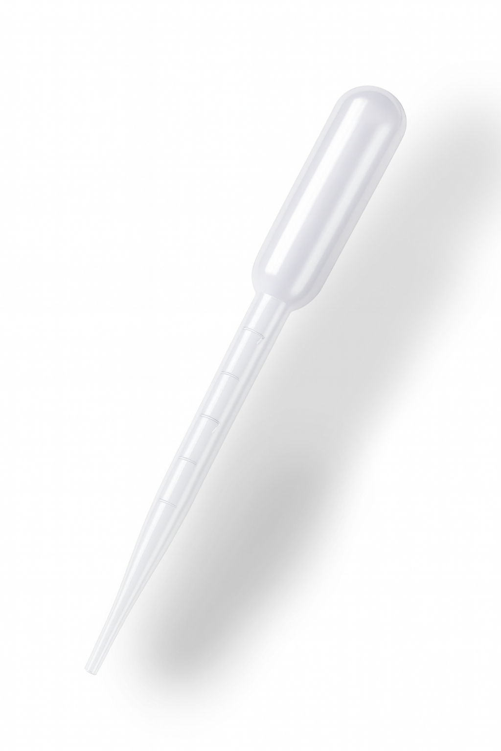 Zestaw L do hodowli śluzowca