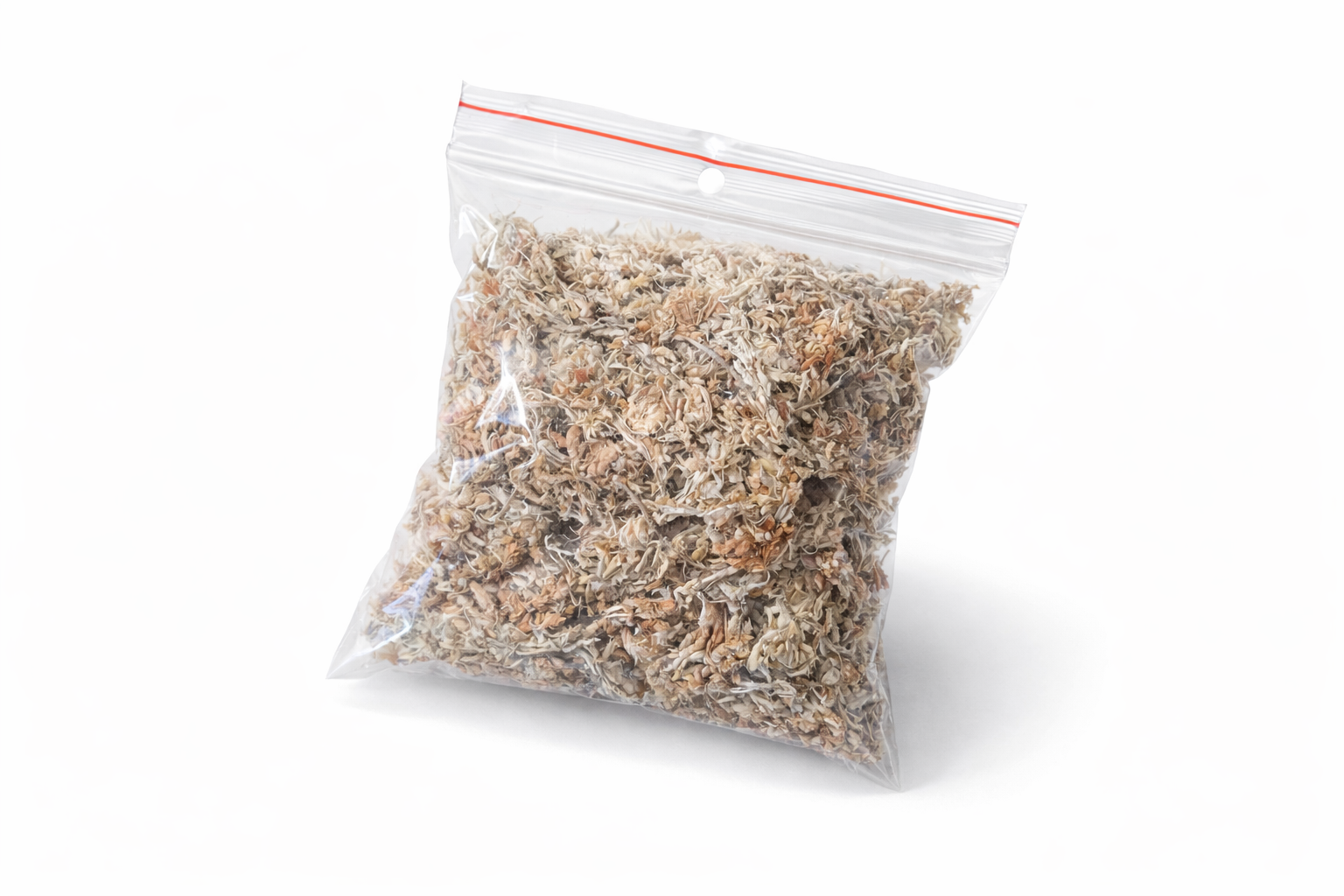 Zestaw terraryjny dla śluzowca