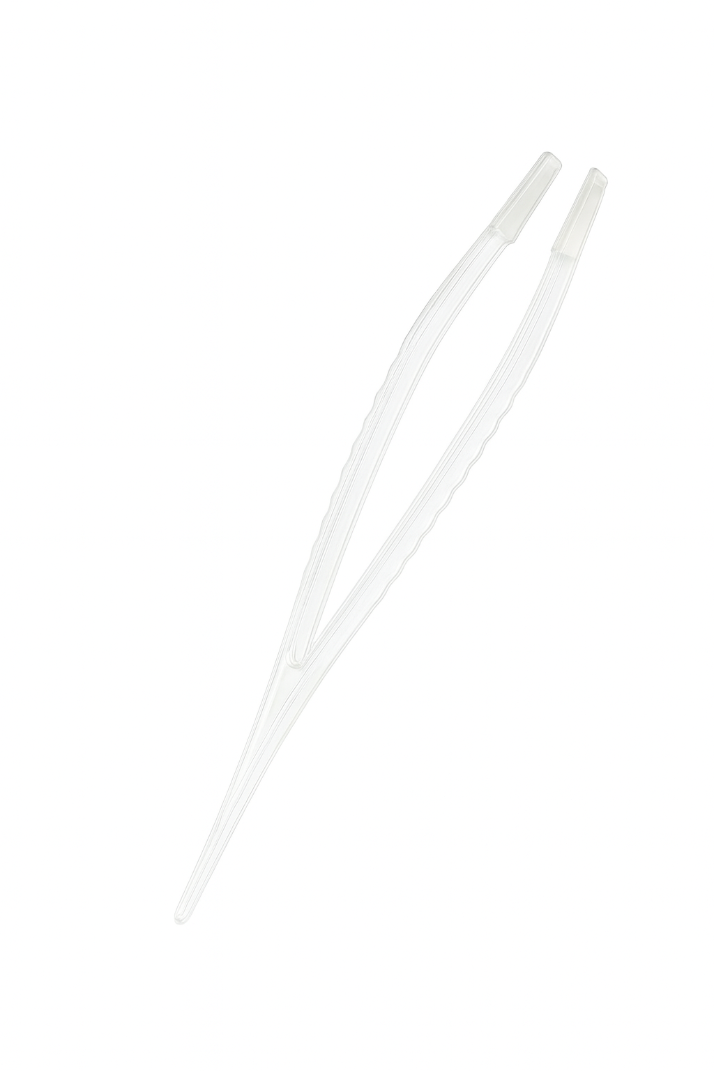 Pęseta 12cm do hodowli śluzowców