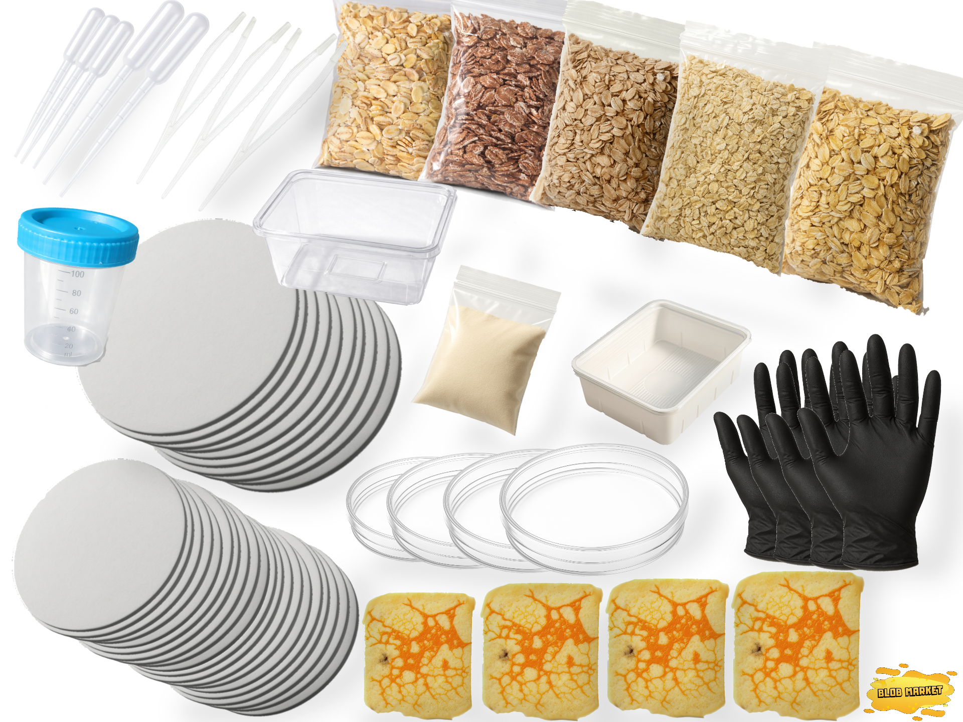 Zestaw L do hodowli śluzowca