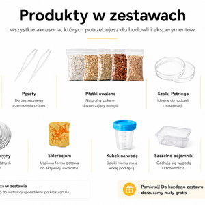 Zestaw do hodowli śluzowca