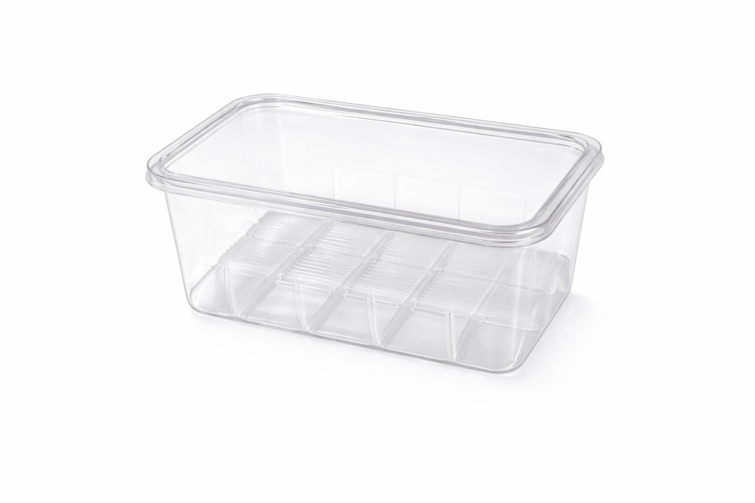 Zestaw terraryjny dla śluzowca