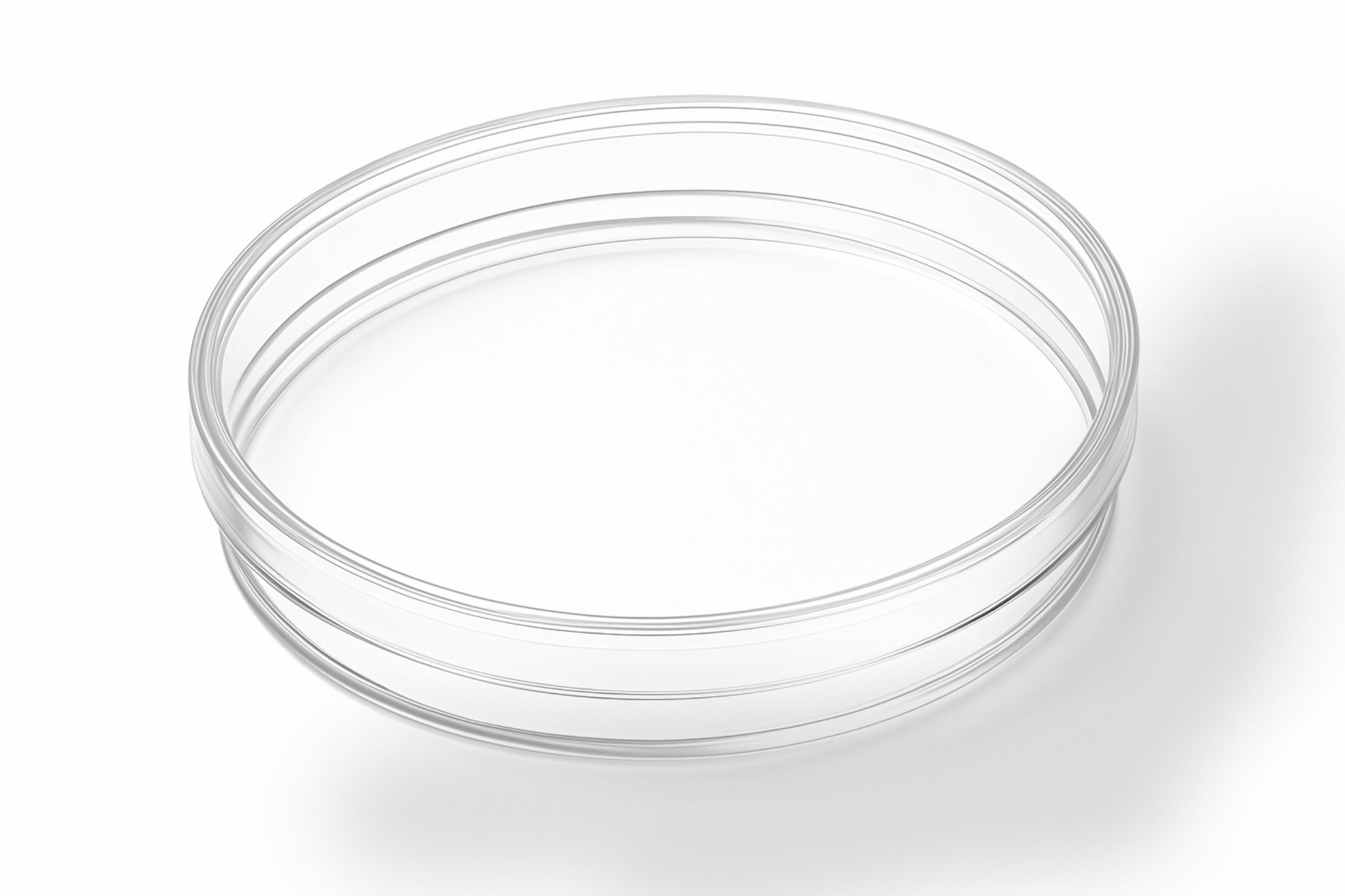 Zestaw M do hodowli śluzowca