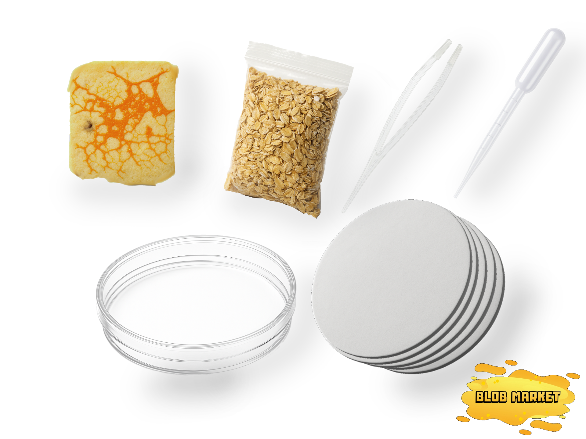 Zestaw S do hodowli śluzowca